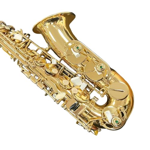 Image of Beginner Alto Saxophone, Eb Golden Lacquer- Complete Starter Kit with Case & 10 Reeds, for Adults & Students, Easy to Play for School Band & Practice