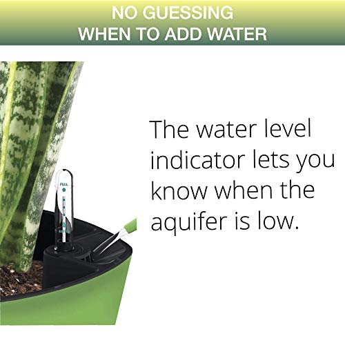 Aquaphoric Self Watering Planter 5” And Fiber Soil Foolproof Indoor Home Garden. Decorative Planter Pot For All Plants, Flowers, Herbs, African Violets, Succulents.(Ivory Matte) #TOP3