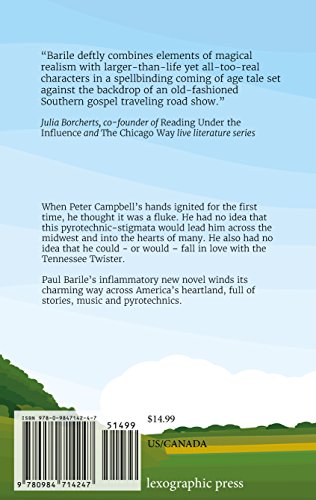 My Brother's Hands 0984714243 Book Cover