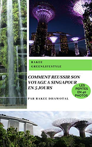 Télécharger COMMENT RÉUSSIR SON VOYAGE A SINGAPOUR EN 5 JOURS: Tout en économisant du temps et de l'argent PDF Ebook En Ligne