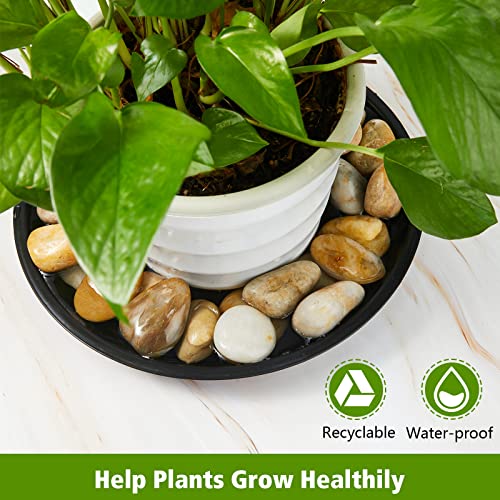 16 Pieces Plant Dish Plastic Plant Tray Round Thick Plant Pot Saucers Sturdy Flower Pot Saucer Black Drip Trays For Plants For Indoor And Outdoor Plants Home Garden (11.8 Inches In Top Size) #TOP5