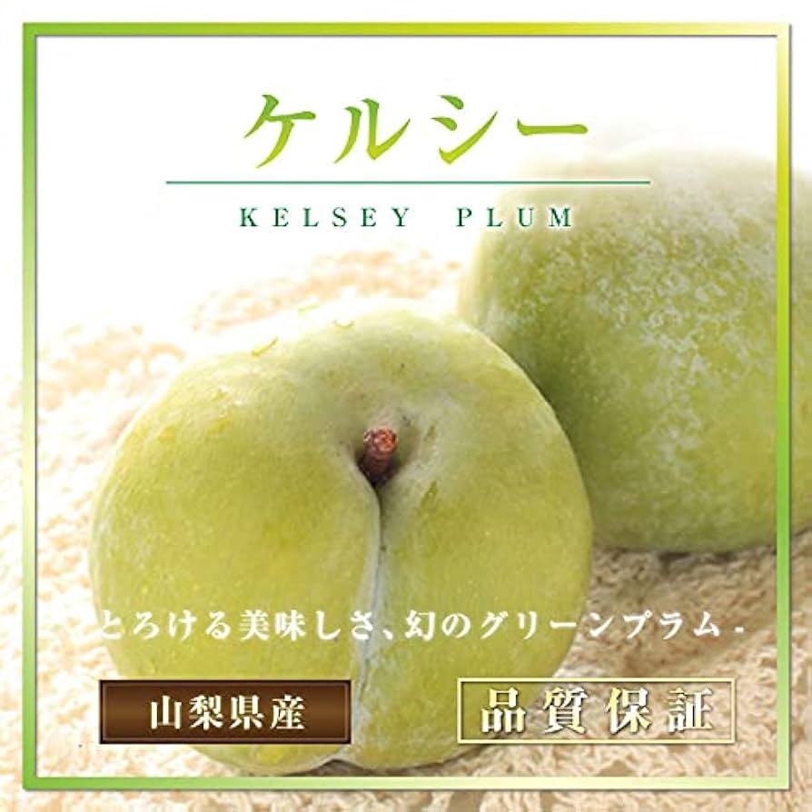 幻のすももと言われるケルシ－山梨県産(激安 幻のすももと言われるケルシ－山梨県産(激安 Amazon.co.jp
