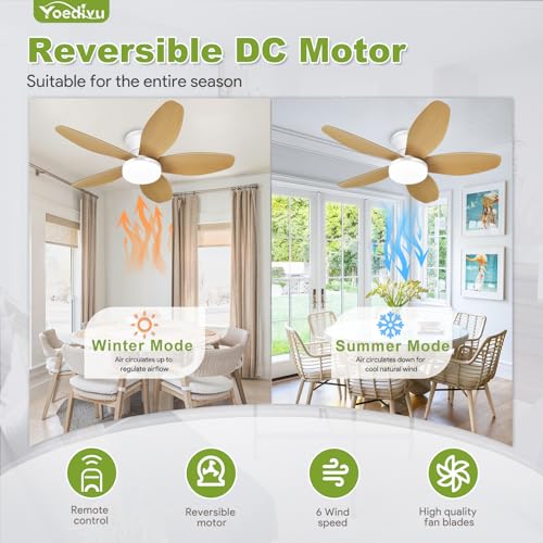 Image of Ceiling Fans with Lights - 35 Inch Small Low Profile Ceiling Fan and Remote,Flush Mount Ceiling Fan with 5 Reversible Blades 6 Wind Speeds, White&Wood Modern Ceiling Fans for Bedroom Kitchen