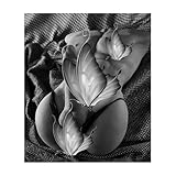 ラブトール 全身 等身大 半身ドール tpe 12kg TPE （陰-茎長さ：17cm) 在庫,一掃,セ,ール