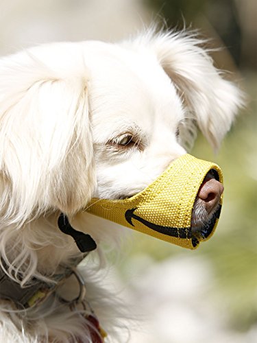 Cesar Millan lustiger MaulkorbTM - Maulkorb des Hundeflüsterers Cesar Millan, Gelb, Size 4