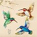 Collections Etc Glass Hummingbirds Outdoor Wall Art - Set of 3 10.75