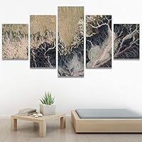SIGNWIN 5 Panel Canvas Wall Art Abstract Aerial Contemporary Mixed Media Modern Art Multicolor Texture for Home Decorations Ready to Hang - 60