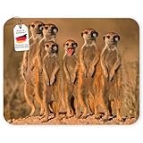 Surface en caoutchouc optimale pour un mouvement uniforme et précis de la souris. Compatible avec souris laser, souris magique, trackpad et souris optique - Accessoire PC de qualité supérieure.
