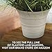 The HC Companies Sedona Round Self-Watering Pot - Lightweight Self Care Planter - Plastic Planter for Herbs & More - Durable Plant Pots for Indoor Plants & Outdoor Plants (7