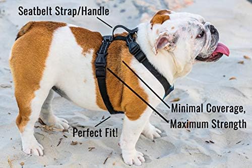 Bulldog Grade No Pull Dog Harness - Custom Fit, Reflective Vest Harnesses with Handle Designed for English Bulldogs, French Bulldogs, and American Bulldogs (Medium, Canine Khaki Camo)