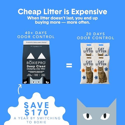 Boxie Probiotic Clumping Cat Litter 40+ Day Odor Control Dust Free 28 lb - 2