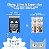 Boxie Probiotic Cat Litter, 40 Day Odor Control, Clumping Clay Kitty Litter, Odor Eliminating Probiotics, Dust-Free, No Fragrances No Fillers, 16 lb