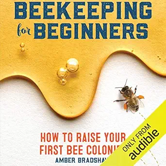 Beekeeping for Beginners: How to Raise Your First Bee Colonies