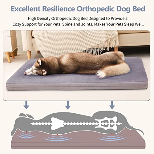 Dog Beds For Extra Large Dogs Orthopedic Jumbo Dog Bed Pet Bed Mat 47 Inch Joint Relief Pets Sleeping Mattress, Non Slip Removable Washable Cover #TOP1