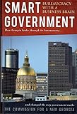 Smart Government: Bureaucracy with a Business Brain