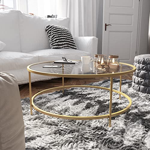 EMMA + OLIVER Clear Glass Living Room Coffee Table with Round Brushed Gold Metal Frame