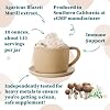 Nature Restore Agaricus Blazei Murill Extract Mushroom Powder, 4 Ounces, 40% Polysaccharides, Non GMO, Gluten Free