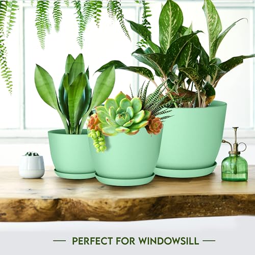 image for Utopia Home - Plant Pots Indoor with Drainage - 7/6.6/6/5.3/4.8 Inches