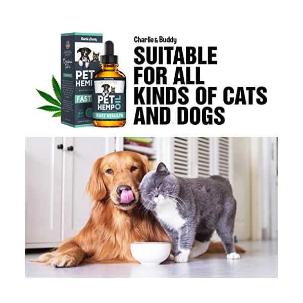 Charlie & buddy hеmp оil dogs cats - helps pets with аnxiеty, pаin, strеss, slееp, аrthritis, sеizures rеlief - нiр jоint hеalth - cаlming trеats - image 6