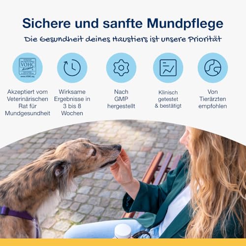 ProDen PlaqueOff Soft Chews für Zahnpflege Hund, Dose mit 60 Hunde Leckerlis, Natürliche Zahnreinigung Hund, für große Hunde, Hunde Zahnpflege für frischen Atem und Zahnbelag entfernen