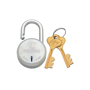 Godrej Freedom 7 Levers Round Padlock with 2 Keys, Aluminium Body Lock for Main Door (Silver, Pack of 1)