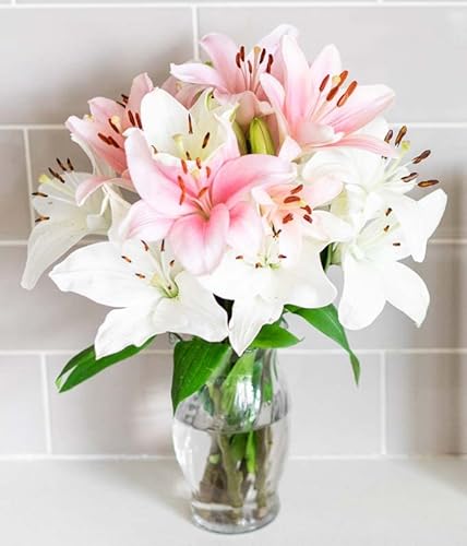 From You Flowers - Stunning Pink And White Lilies With Free Vase (Fresh Flowers) #TOP3
