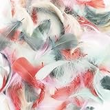 Photo Gallery wjwiner 400 pezzi piume, piume per artigianato, piume decorative, piume naturali, piume colorate, adatto diy crafts decorazione pasqua natale decorazione personaggi(colore morandi) Photo Gallery wjwiner 400 pezzi piume, piume per artigianato, piume decorative, piume naturali, piume colorate, adatto diy crafts decorazione pasqua natale decorazione personaggi(colore morandi)