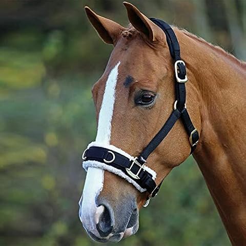 Horse Master Padded Headcollar Halter - Flexible Lunging Cavesson with Comfortable Fleece Lining and Adjustable Buckle Closure - Elegant Stable Accessories and Equipment (Pony, Black) Cover