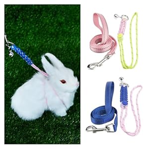 Gagiland 2pcs Ferret Harness and Leash Set, Escape Proof Figure 8 Harness with Reflective Strap and Bell for Ferrets, Rabbits, Bearded Dragon, Guinea Pig, Chinchilla and Hamster Small Animal Harness