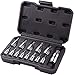 TACKLIFE 14-Piece Torx Bit Socket Set, T8 - T60, S2 Alloy Steel Bit Cr-V Steel Socket, High Cost Performance,TBS1A