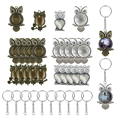 50 PCS Owl Pendant Trays Kit, Woohome 20 PCS Owl Pendant Trays with 20 PCS Glass Dome Tiles Clear Cameo, 10 PCS Pendant Buckle, Different Shape Pendant Blank Bezels for Jewelry Making