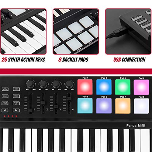 lotmusic Worlde Panda MINI の商品画像 2