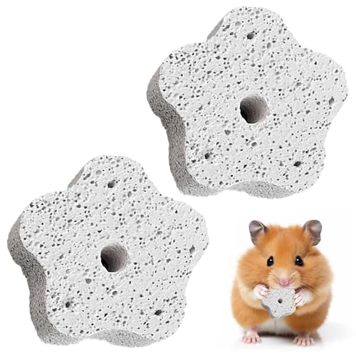 2 Pack Natural Calcium Mineral Stone: Hamster Teeth Grinding Toy,Guinea Pig Chew Toys for Small Pets Including Parrots as Chewing Block Snacks, Hamster Mineral Block & Grinding Stone