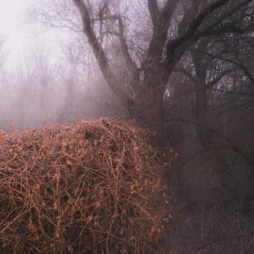 Pochette de Nincs Szennyezetlen Szép (Ltd Your Pieces Scattered Lp)