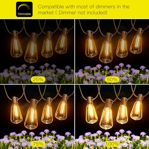 Torkase Garden String Lights, 18M/60FT IP54 Waterproof LED Festoon Lights Outdoor - Image 4