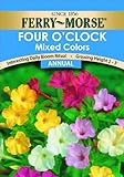 Ferry-Morse Four O'Clock Mixed Colors Seeds (Annual)