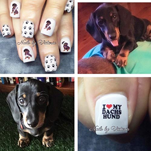 Dachshund Dog Water Nail Art Transfers Stickers Decals - Set of 47 - A1298