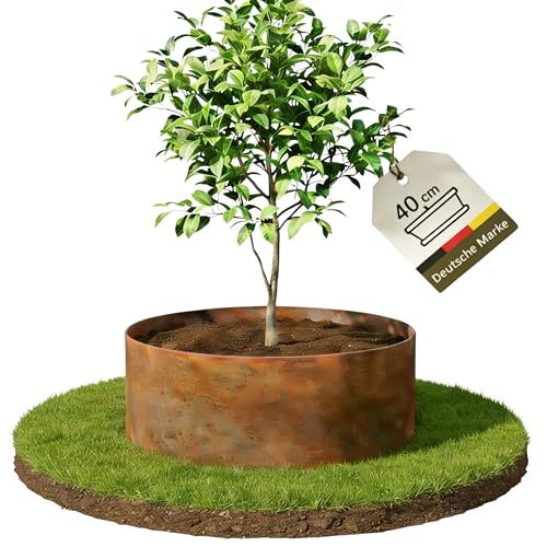 novaterra Pflanzenring 40cm - effektive Umrandung für Beetpflanzen & Junge Bäume | robuste Pflanzenhilfe mit schöner Optik | ideal für gesundes Wachstum im Garten