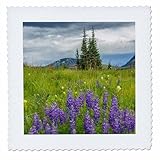 Square dimensions (in inches): 16 L x 16 W, image dimensions (in inches): 14 L x 14 W 100% poloyester; image is soft to touch. Made in USA Edges have pinking shear cut Image will not fade with washing. Image not a transfer, part of material