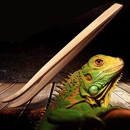 ASOCEA 2 Pcs Bamboo Tweezers Wooden Toaster Tongs Bearded Dragon Lizard Tweezer Food Tongs Reptiles Feeding Feeder Grasping Tool Ideal for Iguanas Geckos Turtles Snakes - Image 6