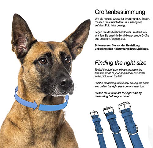 Schnüffelfreunde Halsband für Hunde aus Leder, Hundehalsband für den großen, mittleren und kleinen Hund, Lederhalsband gepolstert, robust (L - 36-45cm, Blau)