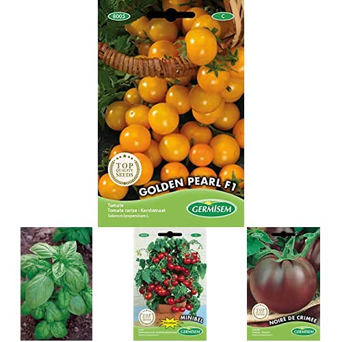 Germisem Golden Pearl F1 Tomato Seeds 0.5 g +Genovese Basil Seeds 4 g +Minibel Tomato Seeds 0.5 g, Multicolour, EC8010