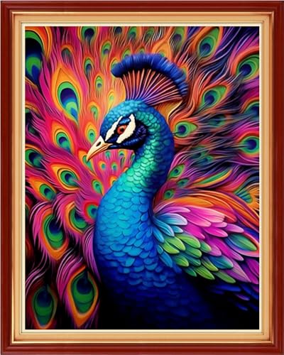 Image of Findvoor Stamped Cross Stitch Kits for Beginner Embroidery Kits for Beginners Adults DIY 11CT Cross Stitch Patterns Needlepoint Kits Crossstitching Kits-Colorful Peacock 16x20 inch