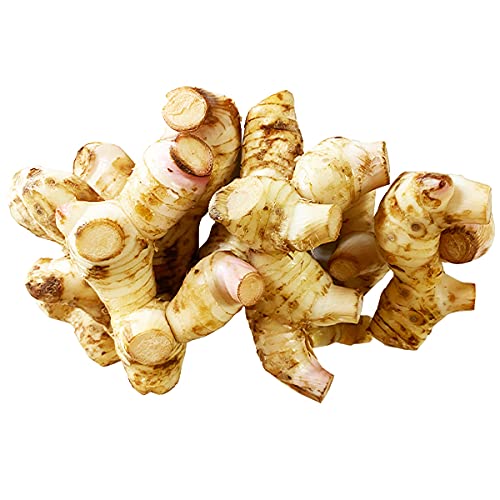 Amazon.co.jp: ガランガル カー 1kg : 食品・飲料・お酒