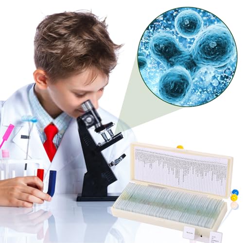 Image of 60 Pieces Prepared Microscope Slide Set with Specimens, Plant Animal Cell Science Education Microscope Slides for Bioscience Labs