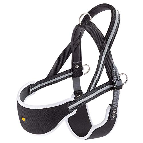 Ferplast Pettorina Cane ERGOCOMFORT NORDIC, Pettorina Svedese per Cane, Comoda Imbottita, Riflettente, Chiusura conMicroregolazione, Rilascio Rapido, LARGE