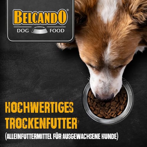 BELCANDO MASTERCRAFT Hundefutter trocken Fresh Turkey, 2,2kg, Trockenfutter für Hunde mit Truthahn, 80% Frischfleisch, getreidefrei, für alle Rassen, Made in Germany