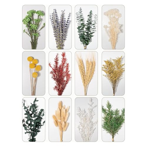 Ramo de Flores Secas Mix 12 Tipos Lavanda y Pasto Pampas miniatura 4