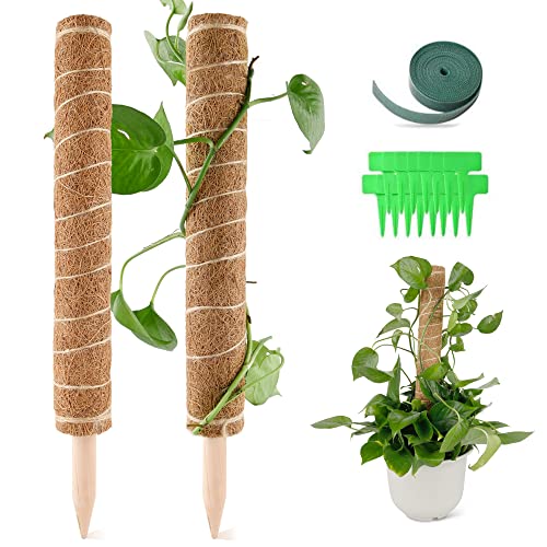 Esther Beauty 27 Inch Moss Pole -2 Coco Plant Pole- Support Indoor Plants to Grow Upwards,Moss Rods for Climbing Plants Esther Beauty 27 Inch Moss Pole -2 Coco Plant Pole- Support Indoor Plants to Grow Upwards,Moss Rods for Climbing Plants
