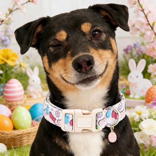 Image of Dog Collars, Easter Colorful Rabbit Print Pet Collar Holiday Cute Durable Adjustable Pendant Gift Collar with Quick Release Plastic Buckle for Large Dogs